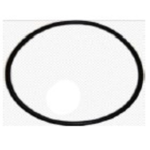 guarnizione per filtro a sabbia juntaprefiji