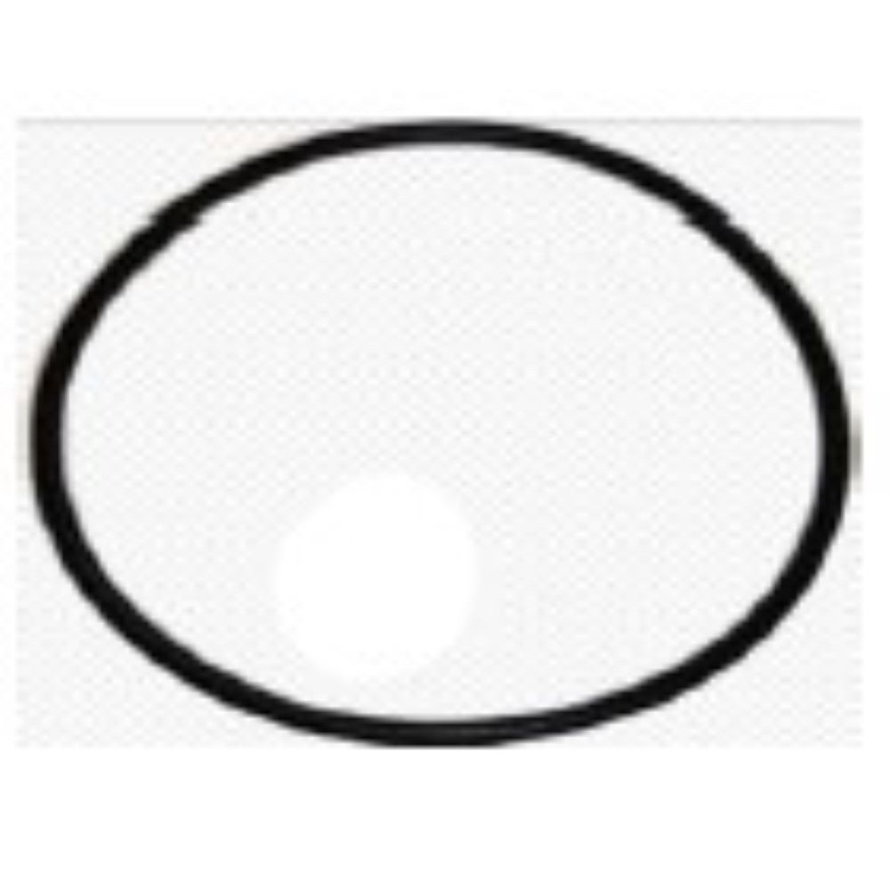 guarnizione per filtro a sabbia juntaprefiji